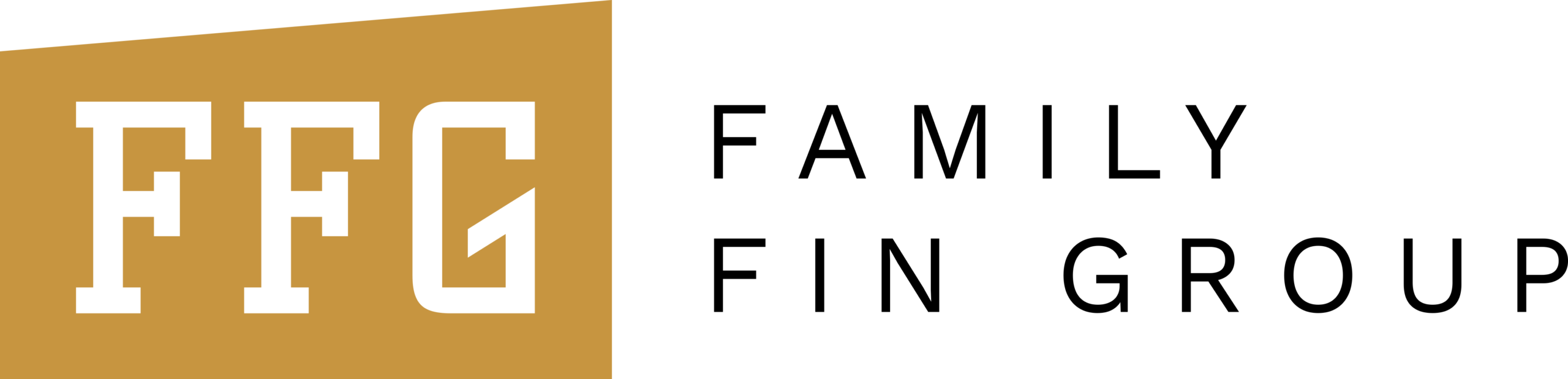 FFG Group logo